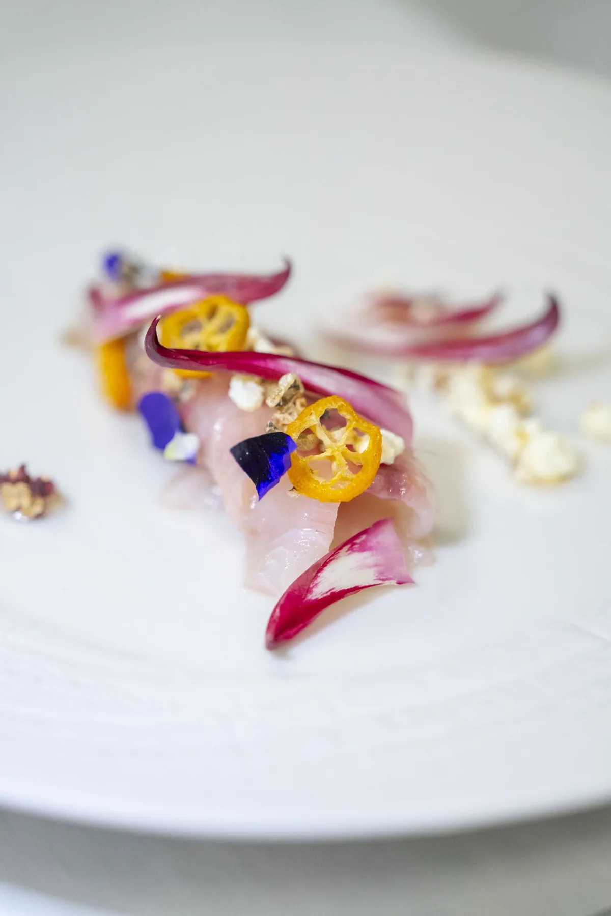 Pesce Crudo & Marinature
