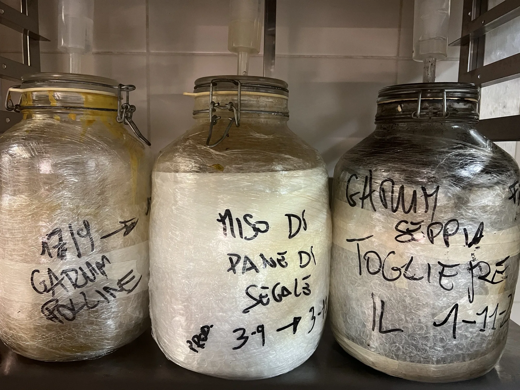 Fermentazioni: Vegetali, Pesce e Carne